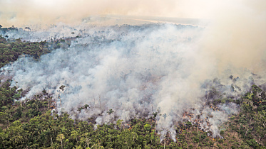 deforestation-of-the-brazilian-amazon.jpg