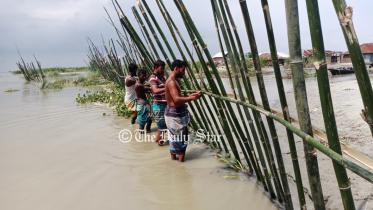 kurigram_bamboo_piling.jpg