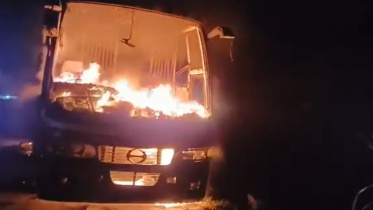 fire_2.jpg