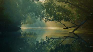 Sundarbans