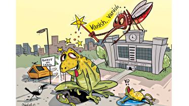 mosquito borne diseases