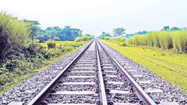 reail-line.jpg