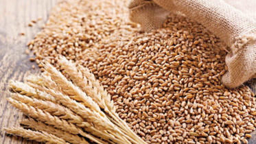 wheat_1.jpg
