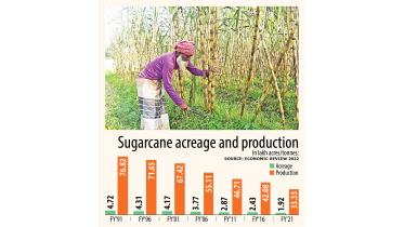 sugarcane-production.jpg