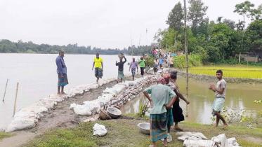 locals-fix-river-bank-tangail.jpg