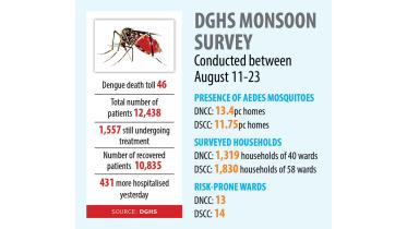 dengue-crisis.jpg
