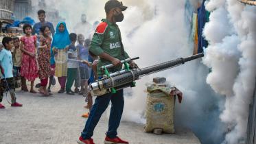 Dengue Crisis