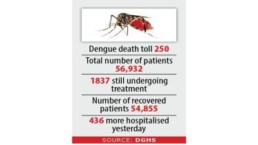 dengue.jpg
