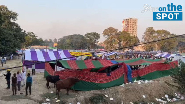 BNP Rajshahi rally turns city into a festival