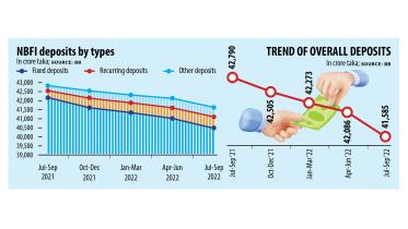 Non-bank financial institutions 