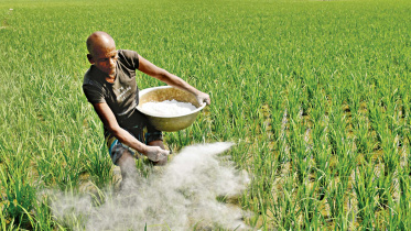 How did 2022 go for Bangladesh?