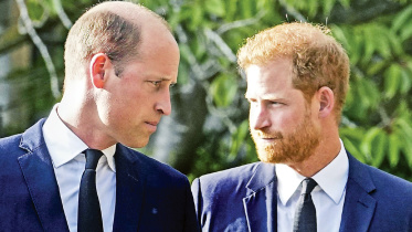 prince-harry-prince-william.jpg