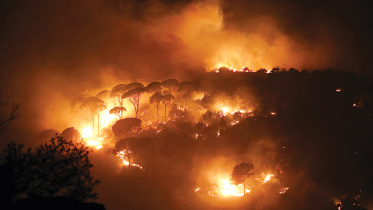 fire.jpg