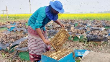 tangail beekeepers