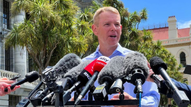 4_collage_2.jpg
