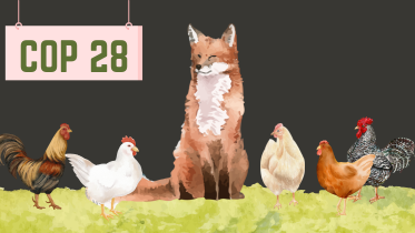 COP 28