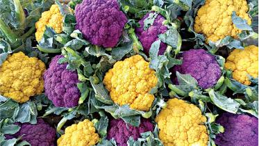 Coloured cauliflowers