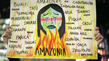 amazonia.jpg