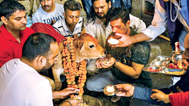hindu-population.jpg