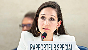 un expert alice cruz