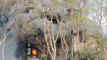 HP Chemicals wharehouse