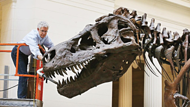trexsk-eletonsuewen.jpg
