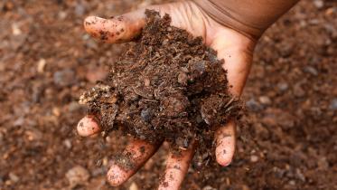 vermicompost