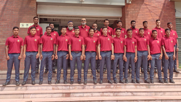 School Cricket