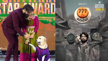 Charlie the dog bags award for lead role in ‘777 Charlie’
