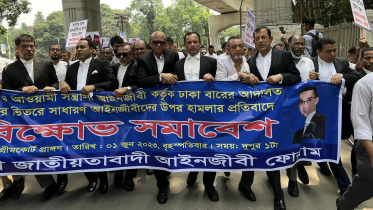 pro-bnp_lawyers-web.jpg