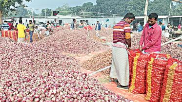 onion imports