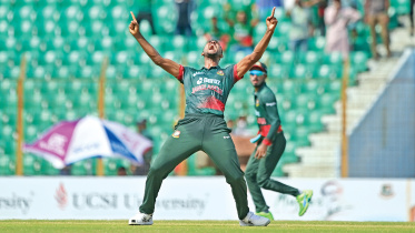 cricket.jpg