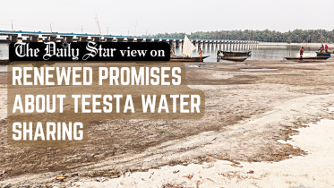 Renewed promises about Teesta water