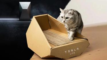 tesla cat bed.jpg