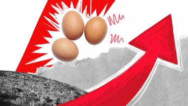 While some buy citizenship, others can’t even afford eggs