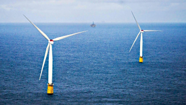 softwindmill.jpg