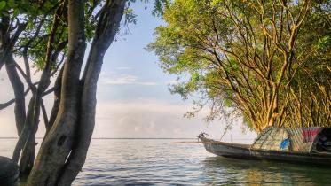 5 beautiful forests to visit in Bangladesh 