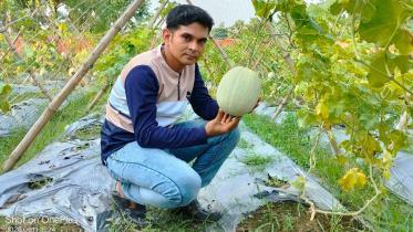 asif-success-muskmelon-cultivation.jpg