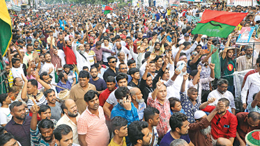 bnp.jpg