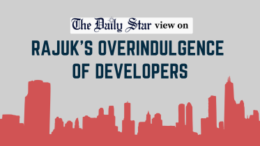 rajuks overindulgence of developers