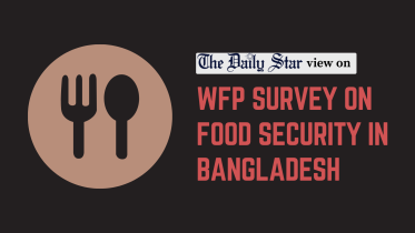 wfp survey on food security in bangladesh