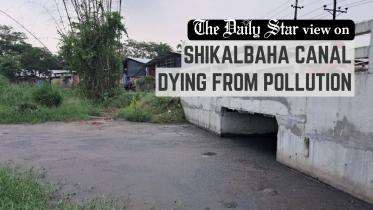 Shikalbaha canal dying from pollution