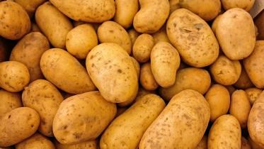 potatoes-411975_1280.jpg