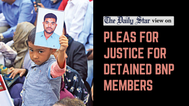 pleas for justice for detained bnp members
