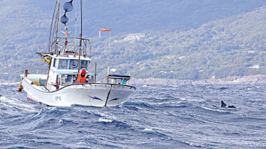 south-china-sea-row.jpg