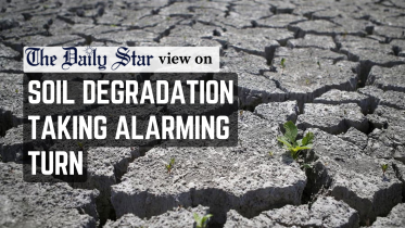soil degradation taking alarming turn
