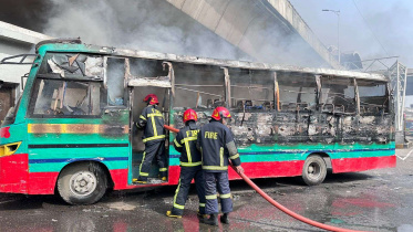 buses_torched.jpg
