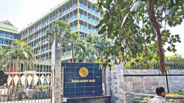 bangladesh_bank_napping.jpg