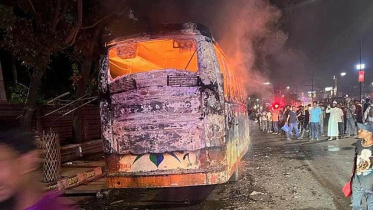 bus-web.jpg