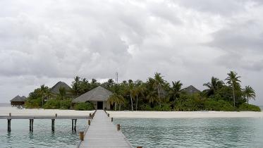 mirihi-577251_1920.jpg